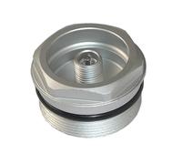 Tappo aria forcella superiore Suntour Sf12 Raidon X1 Argento