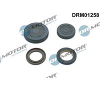 DR.MOTOR AUTOMOTIVE DRM01258 Tappo, Albero portabilanciere - Foro per montaggio
