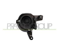 Tappo Coprifendi Sinistro Nero Per Toyota Rav 4 Dal 2013 Al 2015 Lato Sinistro