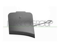 Tappo Coprigancio Traino Anteriore Con Primer (bmw) Countryman (f60) 17/20