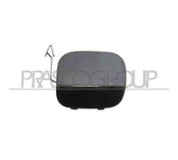 TAPPO COPRI GANCIO TRAINO SINISTRO PARAURTI ANTERIORE per PORSCHE CAYENNE