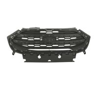 Tappo del radiatore BLIC 6502-07-2588995P