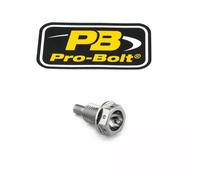 Tappo di sfiato PRO BOLT 09200216