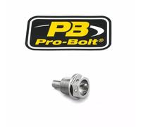 Tappo di sfiato PRO BOLT 09200217