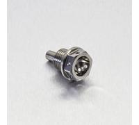 Tappo di sfiato PRO BOLT 09200219