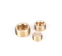 Tappo esagonale in ottone M5 M6 M8 M10 M12 M14 M16 M18 M20 M22 1/8" 1/4" 3/8" 1/2" 3/4" 1" Bsp Npt Filettatura maschio Tappo terminale in ottone con esagono incassato(NPT3l4)