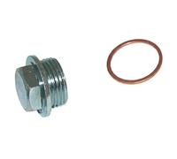 FA1 269.750.011 - Tappo Filettato, Coppa Olio