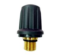 Tappo For Pulitore A Vapore 2/1 Pz Con Valvola Di Sicurezza E O-ring Nero, Kit Completo For Anello, Compatibile Con Aspirapolvere Karcher, 4.590-105.0(1 PACK)