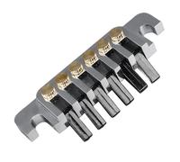 Tappo per Ponte a 6 Corde, Struttura in Metallo Stile Vintage, Buona stabilità del Suono, Cordiera per Ponte per Chitarra con 2 Bulloni per Strumenti a Corda (SILVER)