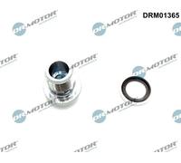 Tappo scarico coppa olio Ad esagono sporgente DRM01365 Dr.Motor Automotive