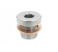 Tappo scarico coppa olio Coppa olio Ad esagono incassato V10-4947 VAICO per VW