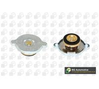 Tappo serbatoio liquido refrigerante CC3053 BGA per BMW ALFA ROMEO OPEL AUDI VW