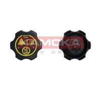 Tappo, serbatoio refrigerante per AUDI BMW BUICK BYD CADILLAC CHEVROLET CITROËN