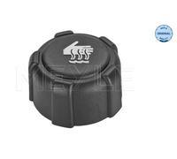 Tappo, serbatoio refrigerante per DACIA RENAULT CLIO DOKKER DUSTER ESPACE FLUENC