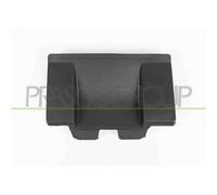 PRASCO PG4302101 Supporto, Griglia radiatore