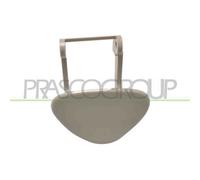 Tappo Tergifaro Destro Per Mercedes C Class (w203) Dal 2000 Al 2004 Lato Destro