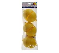 6x Killa TAPPO TRAPPOLA ECOLOGICA BIO PER CALABRONI VESPE MOSCHE e DROSOPHILA