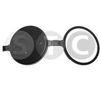 Tappo Vascetta Lavavetri Psa -'98