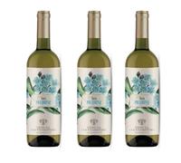 Tarà Pecorino Falerio DOC - Tenuta Cocci Grifoni - 3 Bottiglie da 0.75 lt -