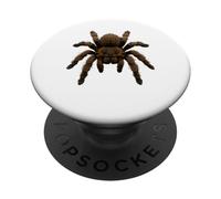 Tarantola ragno esotico animale domestico realistico insetto Close-up Art PopSockets PopGrip Adesivo