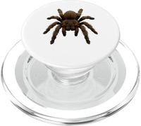 Tarantola ragno esotico animale domestico realistico insetto Close-up Art PopSockets PopGrip per MagSafe