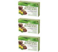 Tarassaco & Carciofo Compresse 3x40 pz Compresse