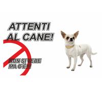 TARGA CARTELLO ATTENTI AL CANE -ATTENTI AL CANE CHIHUAHUA NON SI VEDE MA C'È