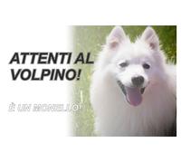 TARGA CARTELLO ATTENTI AL CANE - ATTENTI AL CANE VOLPINO, è UN MONELLO