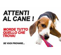 TARGA CARTELLO- attenti al cane beagle morde tutto quello che trova