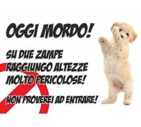 TARGA CARTELLO ATTENTI AL CANE - CANE BARBONCINO, OGGI MORDO