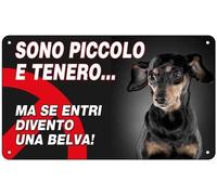 TARGA CARTELLO ATTENTI AL CANE - pincher, SONO PICCOLO E TENERO, MA SE ENTRI DIV