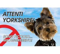 TARGA CARTELLO - Attenti al cane yorkshire, SONO PICCOLO, MA AGGRESSIVO