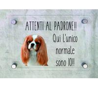 TARGA CARTELLO IN PLEXIGLAS ATTENTI AL CANE - CAVALIER KING ATTENTI AL PADRONE