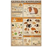 Targa Con Stampe Conoscenza Della Cavia Razze Di Cavia Infografica Retrò Poster Segno Lamiera Divertente Targa Metallico Per Ristorante, Club, Cafe 30x40cm