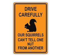 Targa decorativa da parete con scritta "The Warning Drive Attentamente Our Squirrels Can't Tell One Nut from Another Humor Caution Industrial Road Metal Tin Yard Sign Outdoor & Indoor Safety Sign 20,3