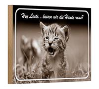 Targa decorativa in legno "Hey Leute, lassen wir die Hundsaus?", motivo gatto in stile retrò, ideale per gli amanti degli animali, 18 cm x 12 cm