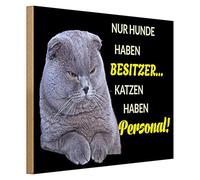 Targa decorativa in legno "Solo cani hanno proprietari, gatti hanno personale", regalo divertente per gli amanti dei gatti, cartello in legno con motivo gatto, 40 cm x 30 cm