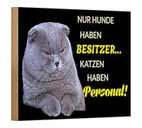 Targa decorativa in legno "Solo cani hanno proprietari, gatti hanno personale", regalo divertente per gli amanti dei gatti, cartello in legno con motivo gatto, 18 cm x 12 cm