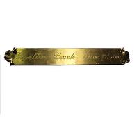 TARGA defunto cimitero tomba D' OTTONE 2,5X10 CM PERGAMENA con 2 fori INCISIONE COMPRESA MANDA MESSAGGIO CON NOME E DATE RIGHI CORSIVO INGLESE FUORIPORTA FUORI in omaggio portachiavi