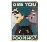 Targa in latta con scritta "Are You Pooping Cat", 20 x 30 cm, divertente cartello in latta per bagno, decorazione per la casa, decorazione da parete, regalo per amanti dei gatti (sei tu pooping 1 pz)