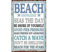 Targa in latta vintage ispirata alla spiaggia, decorazione da parete, conoscenza della spiaggia, sii la riva di te stesso, mari, il giorno, prendi un'onda, citazione divertente, targa in metallo retr