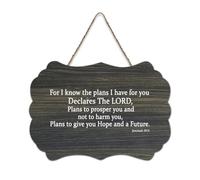 Targa in legno con scritta in lingua inglese "For I know the plan I have for you", 15,2 x 25,4 cm, versi della Bibbia, decorazione artistica da parete rustica, da appendere, per porta d'ingresso