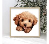 Targa in legno personalizzabile con barboncino con cornice divertente che sbircia un cucciolo di cane, decorazione da parete, decorazione da parete, cornice in vero legno, per cucina, camera da letto