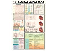 Targa in metallo con 12 derivazioni per elettrocardiogramma, decorazione per ufficio, poster in latta per cardiologo, decorazione da parete per casa, ospedale, 12x16 pollici