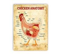 Targa in metallo con anatomia del pollo, targhe in metallo vintage, poster con conoscenza del pollo, enciclopedia sugli animali, decorazione da fattoria, decorazione da parete per casa, cucina, regal