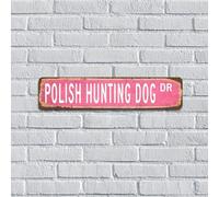 Targa in metallo con cane da caccia polacco, poster con nome di animale domestico, cartello in alluminio personalizzato per ufficio, negozio, cucina, camera da letto, decorazione per uomini, 10 x 45