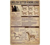 Targa in metallo con conoscenza del setter inglese Enciclopedia del setter inglese vintage Poster in metallo Arte da parete retrò per ufficio, aula, camera da letto, decorazione da parete, scienza del