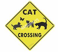 Targa in metallo con gatto che attraversa Xing Farm Organic Country Yard Sign in alluminio cartello stradale per interni ed esterni decorazione da parete 20 x 20 cm