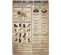 Targa in metallo con informazioni sul bulldog francese, anatomia di un bulldog francese, poster in latta, guida, decorazione, fattoria, club, casa, cucina, bar, caffetteria, parete, 8x12 pollici