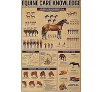 Targa in metallo con informazioni sul Kung Fu - 8x12 pollici | Poster di anatomia del Wing Chun | Decorazione didattica per club di arti marziali, scuole e camere da letto